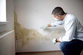 Best Air Quality Testing for Mold Spores  in USA